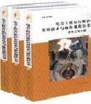 電力工程運行維護實用技術(shù)與操作規(guī)程全書--發(fā)電工程分冊